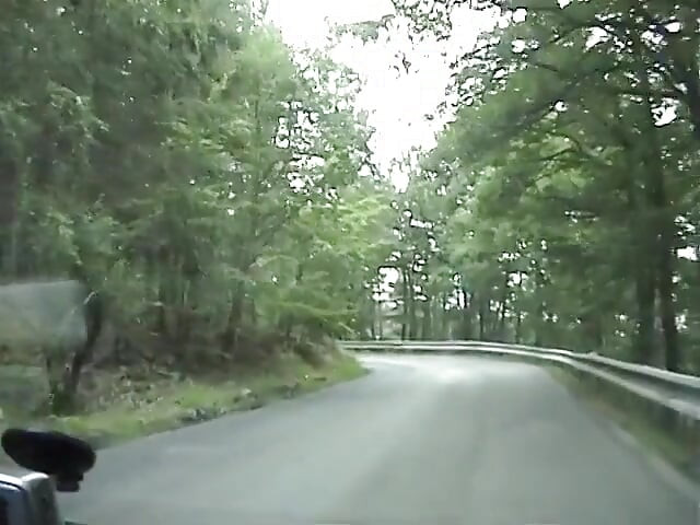 European teen picked up and fucked on the side of the road