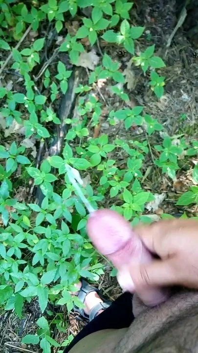 Outdoor 2
