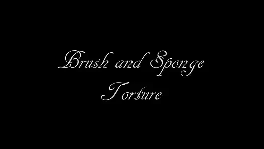 Sikat dan Sponge