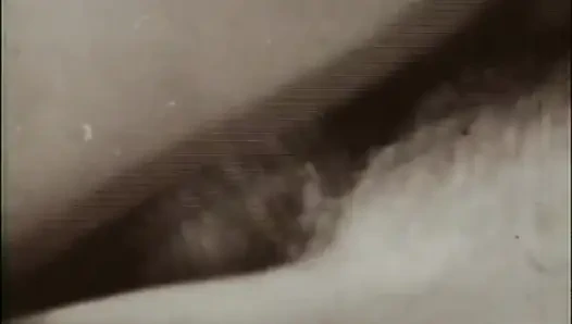 Siktirlerin Maceraları