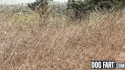 Dogfart - fire marshal slim poke memadamkan kontol ukuran raksasa tifa