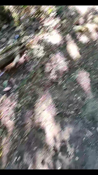 TcTk：星期四 [⁹七月²⁰²⁶] 晚上 8 點²⁰ 32°C 在費桑德里期間 [！停止🔥縣！VaneSsaBiTCHx PariSChienneTrvprod⁹¹