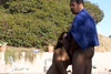 Pregled videozapisa