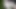 Just feeling horny - Masterbate – Pinkish headdick – WHITISH LIQUID