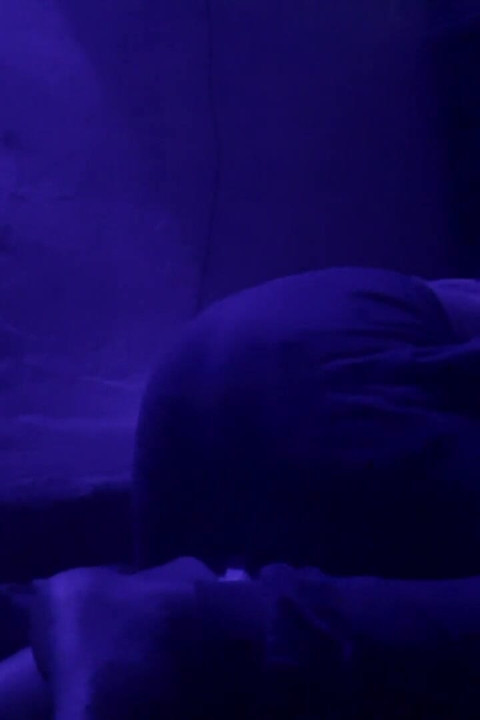 整夜操我的嫂子 - 肮脏的巷子性爱视频