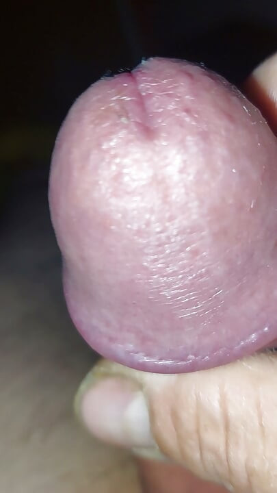Meu pau punheta