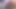Malezyalı kız büyük siyah horoza biniyor.