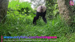 Pratinjau video