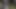açık KEDİ ile bbc