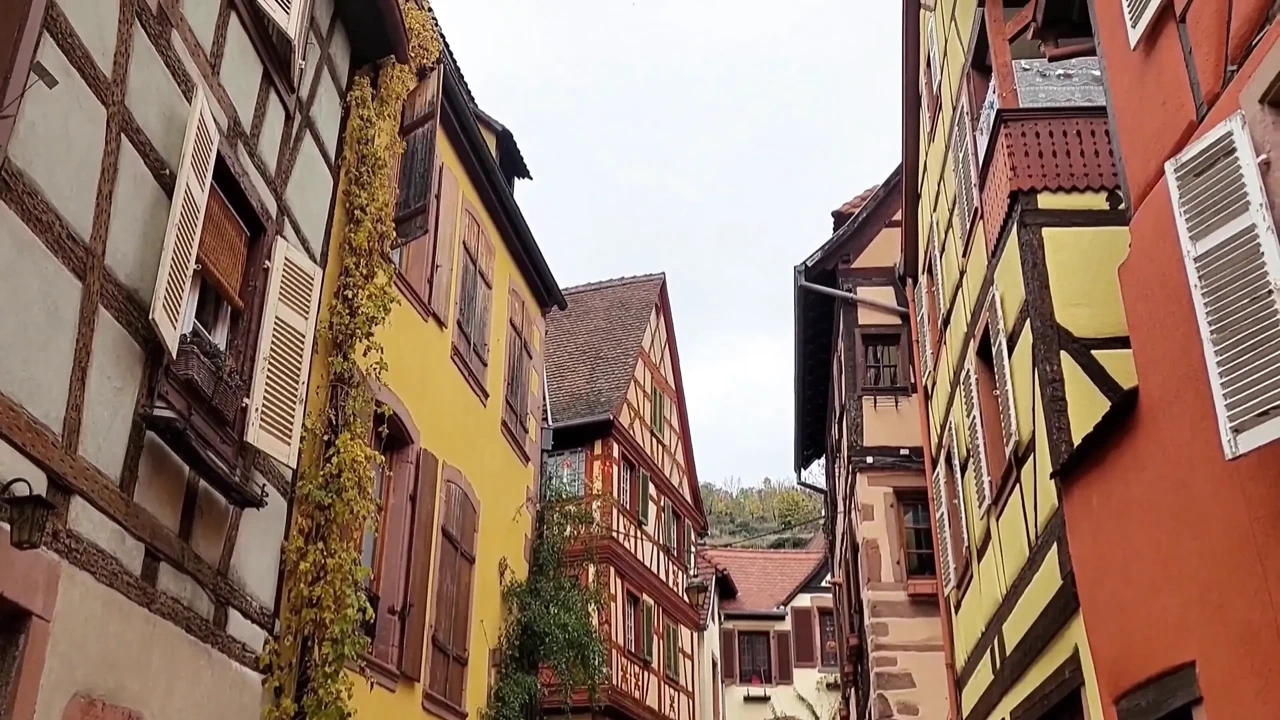 Sexy Blonde Mature Wife Enjoys Oral