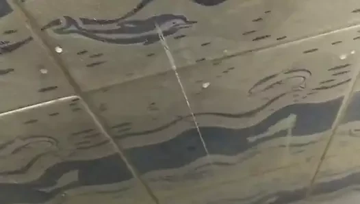 Hızlı boşalma