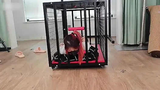 Barefoot Girl in a Cage
