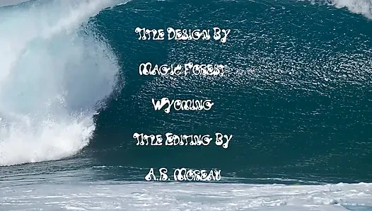 Cinta Musim Panas Amelie