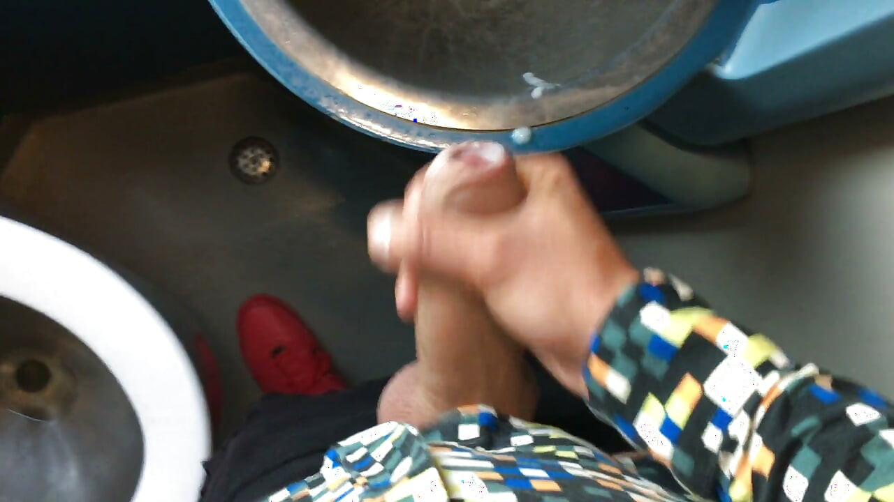 Jerk off at a Train Toilet