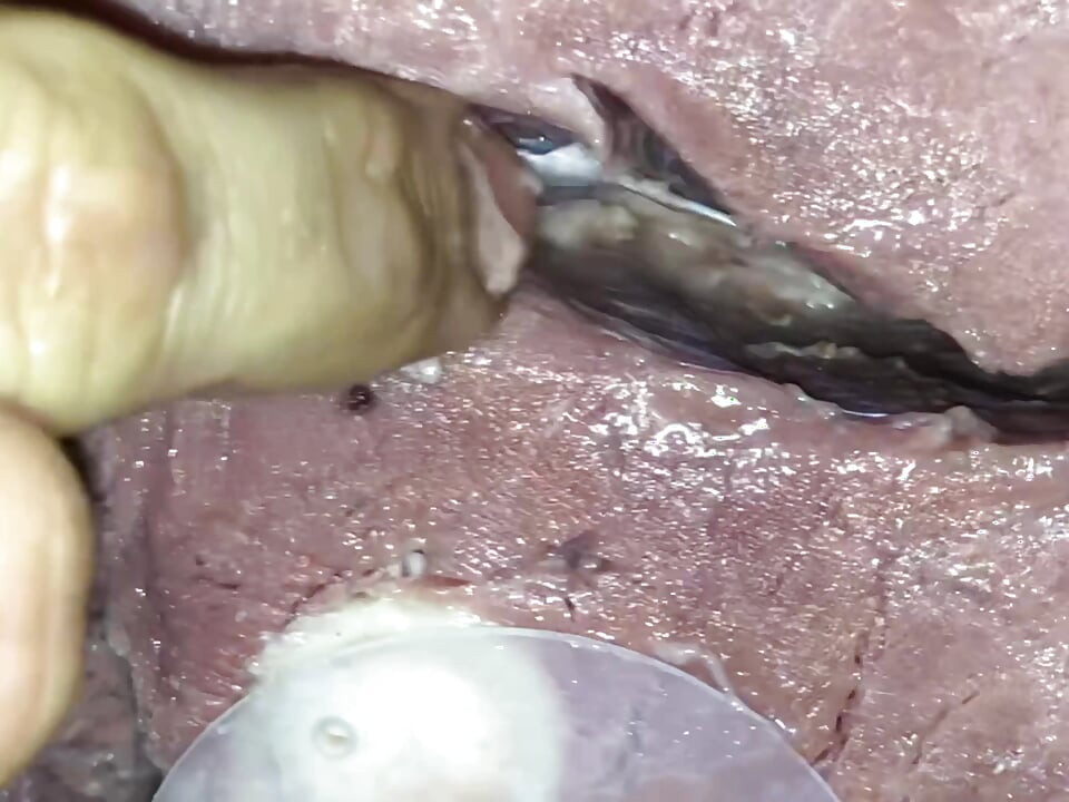 Pussy HAM hole