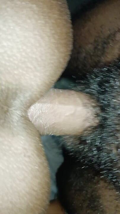 Bhabhi Ki Chudai