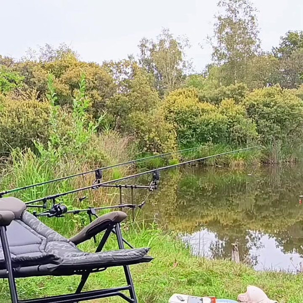 Pregled videozapisa