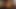 porno yıldızları: max mikita