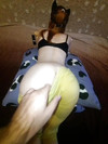 Pregled videozapisa