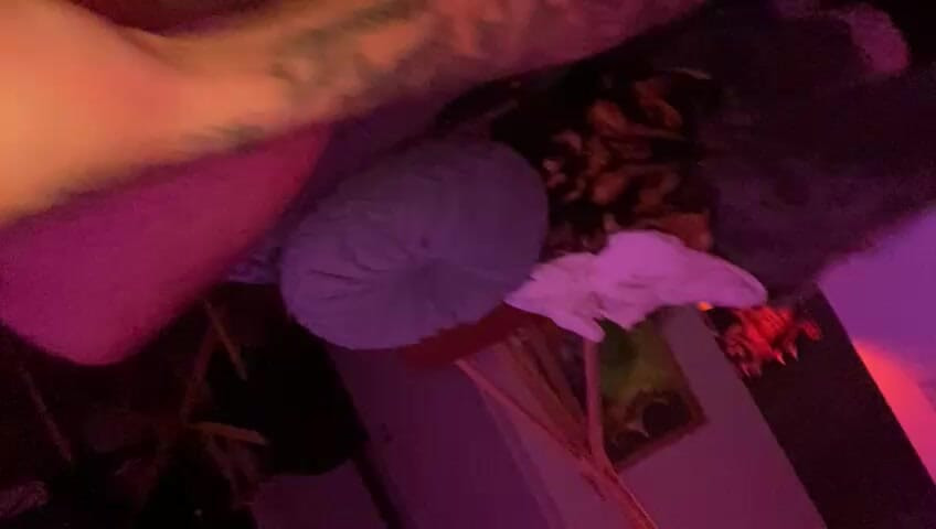 Amateur solo with cumshot, uploaded video for creator account, looking to make content with Females.. message if interested!