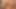 Geile Transen Girls mit dicken Titten und harten Schwaenzen