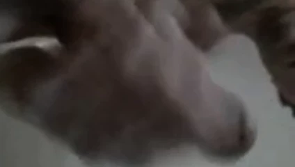 süit..
