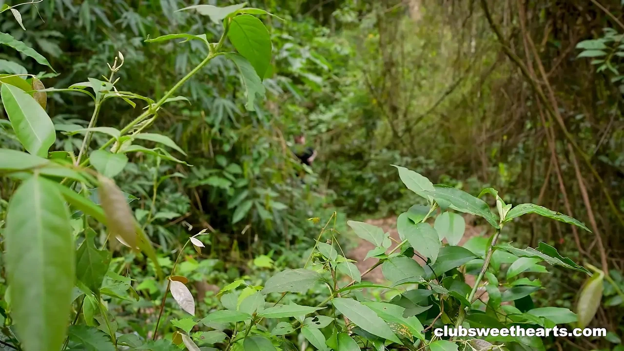 迷人的蓝眼睛乌木茉莉花维拉尔为 ClubSweethearts