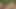 Lustful college kids transform a backyard bash into a wicked sex romp