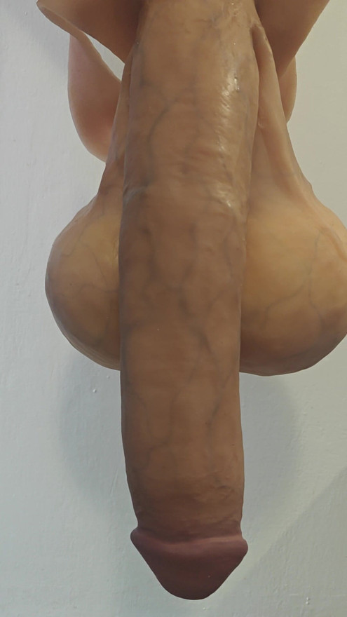 beautiful long penis with testicles