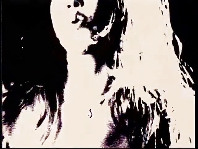 Međurasna lezbejska akcija