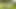 Fetish. Hot Teen Girl Peeing Standing in Park