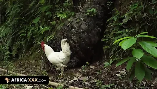 Сексуальная встреча в джунглях