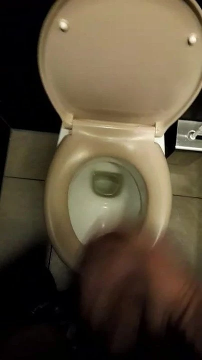 Wichsen auf dem Mc Donalds Klo