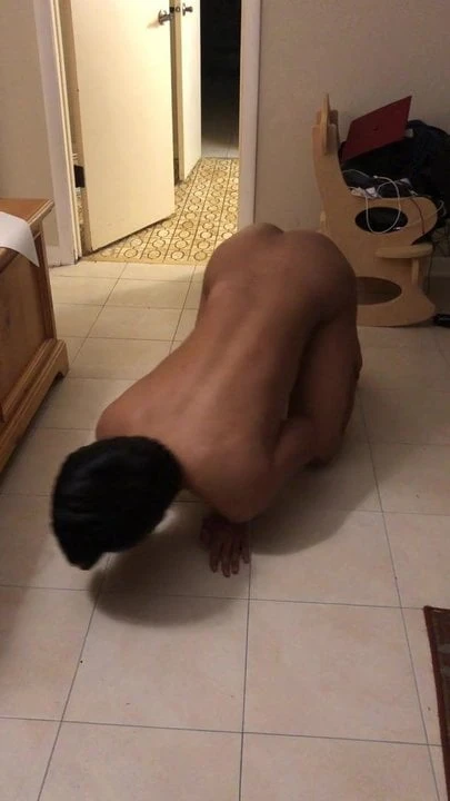 Asian doggy showing its body.