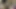 Hintli yenge sakso masajı, devar yarak emiyor, devar banyo yaptıktan sonra babhi ile sikişiyor
