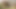 Amazonギフト証明書