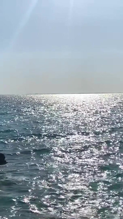 Monika Fox Stopped A Tour Bus To Swim Naked In Sea | Clip 1