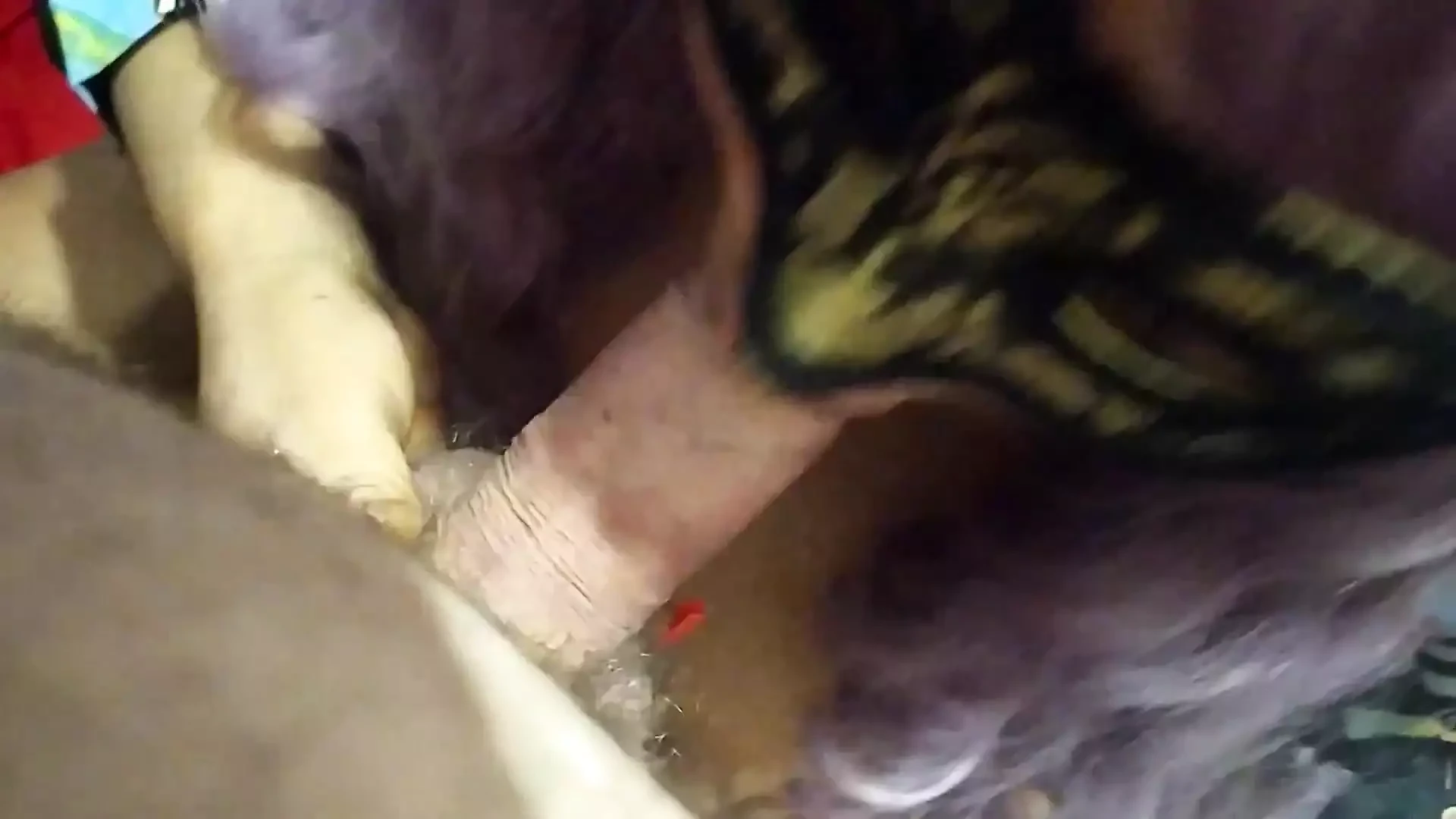 Ebenholz-ehefrau lutscht zwei schwänze, um sperma für ihre titten zu bekommen