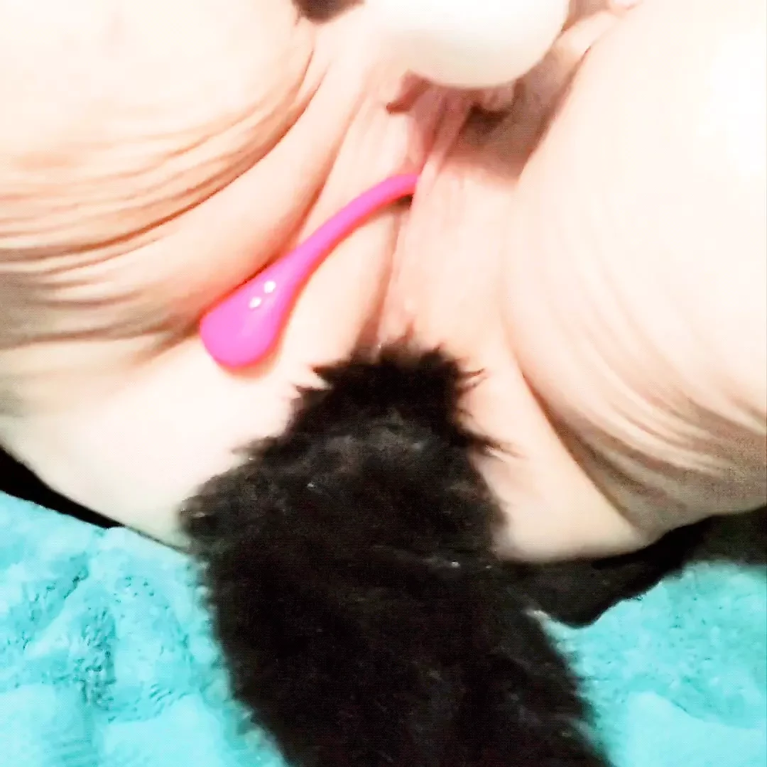 새끼 고양이 꼬리를 가진 미녀 밀프와 무성한3 보지를 퍼뜨리고 hitachi와 노는