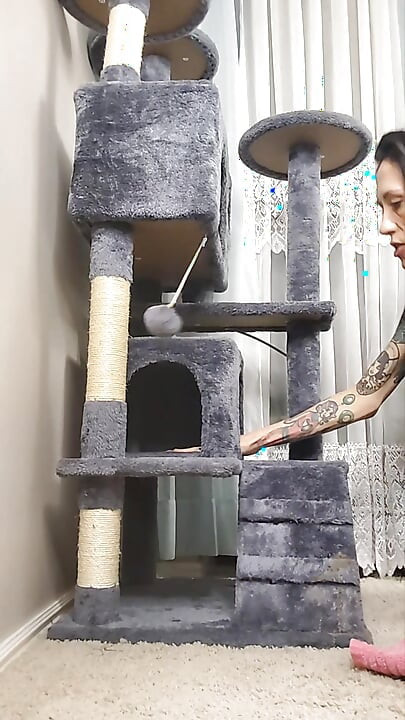 Pegado Shiloh: edición Cathouse