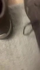 Anal Plug Steewl