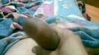 Mi Pene 2