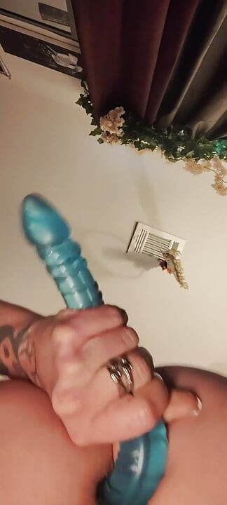 Pussy Playtime