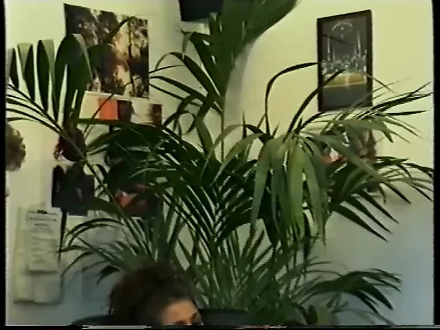 Laura Unersattliche Generation (1992)