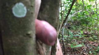 Arriesgada follada de árbol al aire libre cerca de la pista para correr.