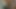 おもちゃを楽しむ