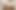 Pretty Face Ebony Anal Queen