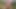 Me outside in chastity – deshovaya bliad