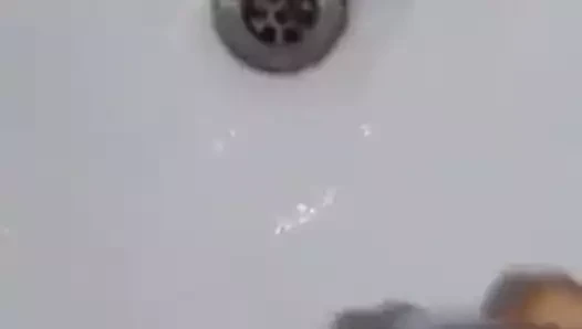 Sudu aiya köstebek wela