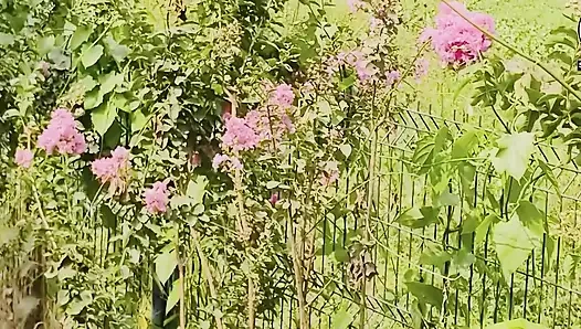 Nyepong dildo di taman umum di luar ruangan